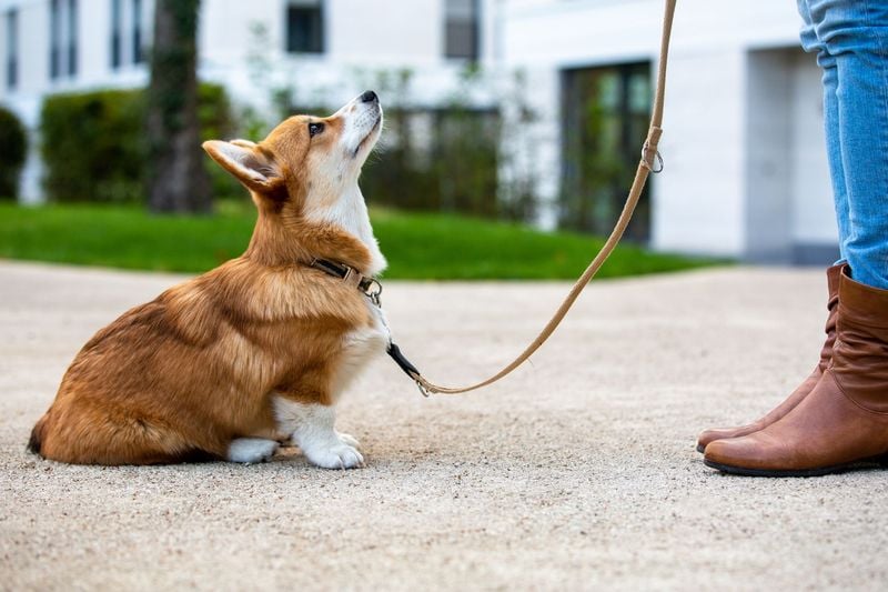 Practice Gradual Desensitization to Triggers