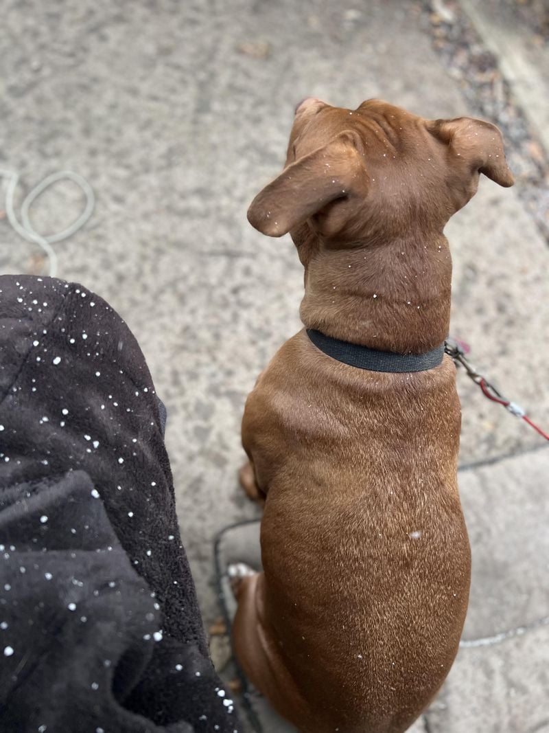 They sit with their back to you