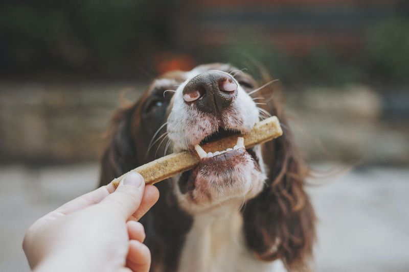 Use Positive Reinforcement