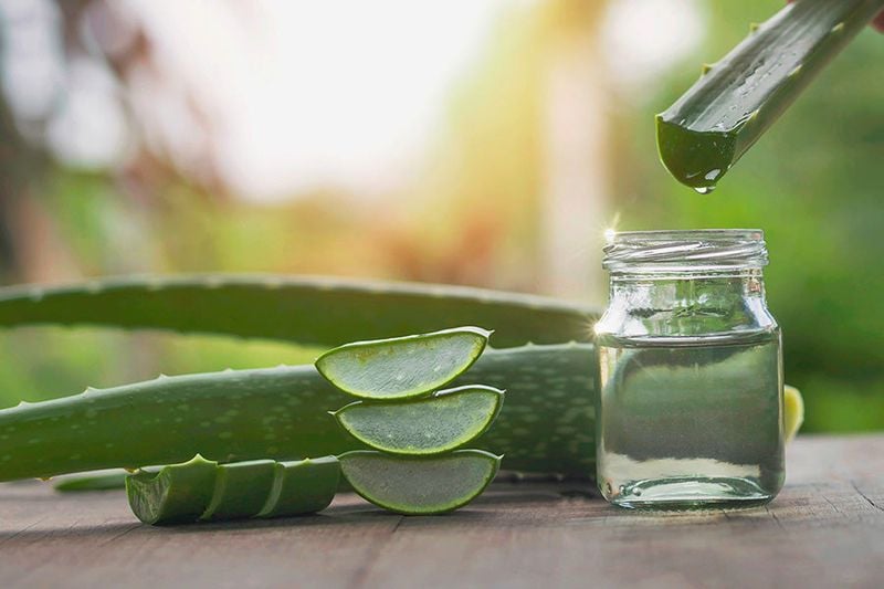 Aloe Vera Juice (Pet-Safe, Inner Leaf Only)