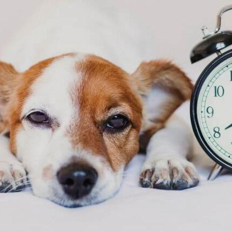 Predictable Routines