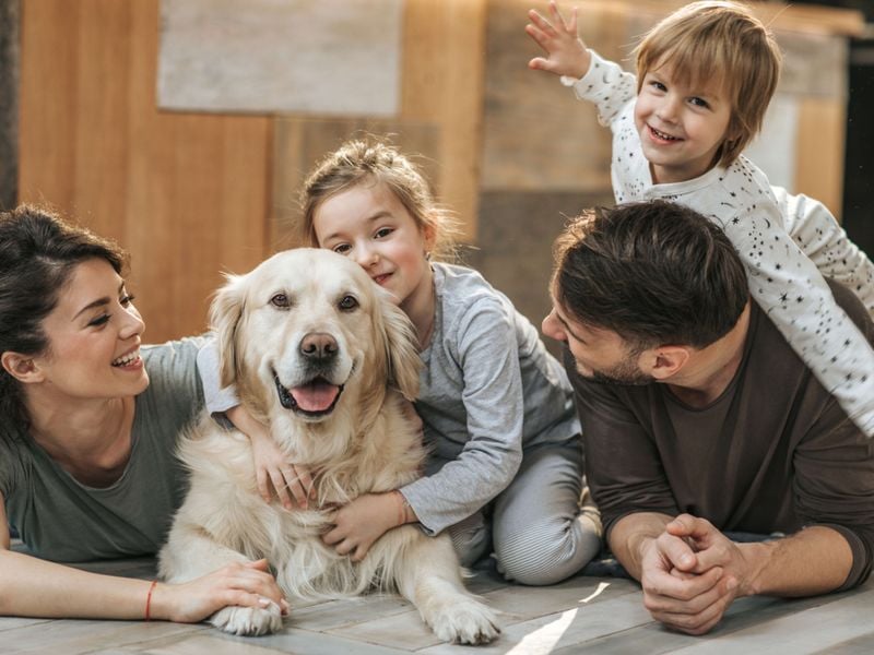 Include the Whole Family