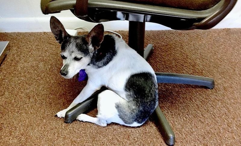 Confusion or Anxiety