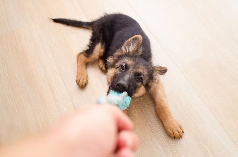 Interrupting Your Negative Thoughts with Play