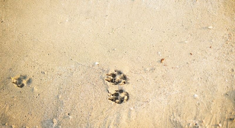 Cool the Body If You Need Time