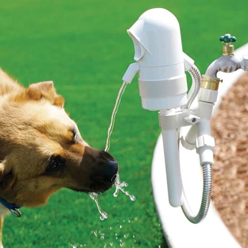 Provide Constant Access to Fresh, Cool Water