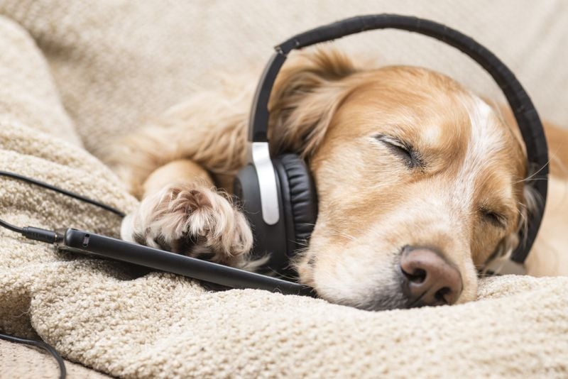 Play White Noise or Calming Music