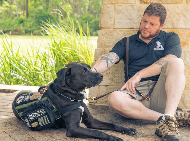 Helps with PTSD and Trauma Recovery