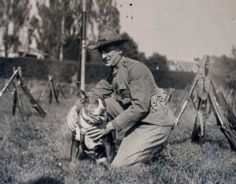 Media Mascots and War Heroes: The Pit Bull's Golden Age