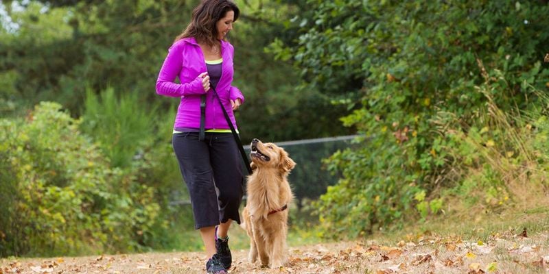 Lowers Stress and Anxiety (for Both)