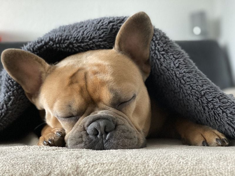 Shorter Sleep Cycles