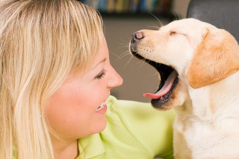 Contagious Yawns Show Empathy