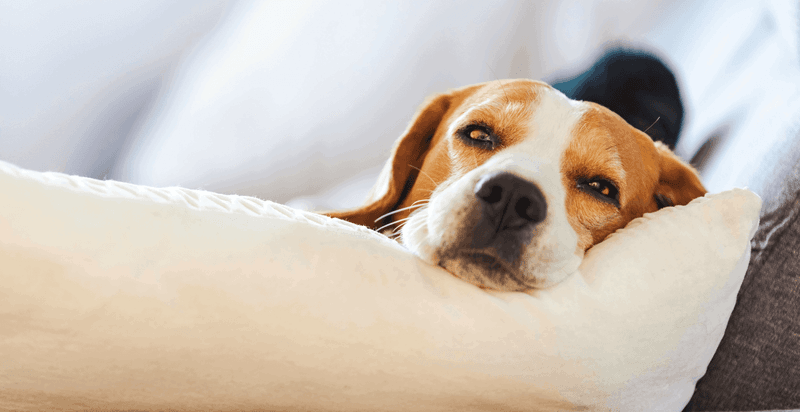 Offer a Safe, Quiet Retreat Space
