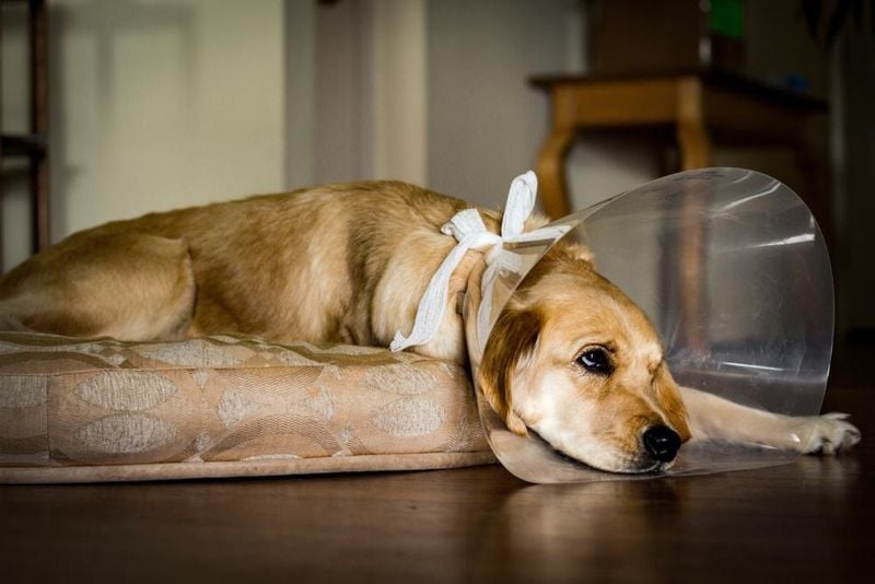 Recovery from Surgery
