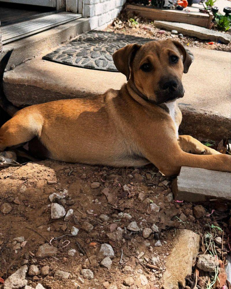 Not Instagram-Worthy Looks