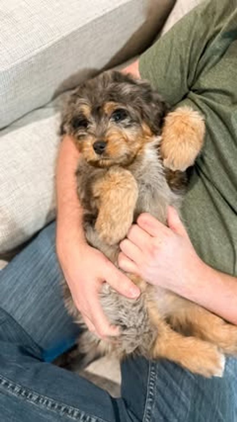 They expose their belly without prompting