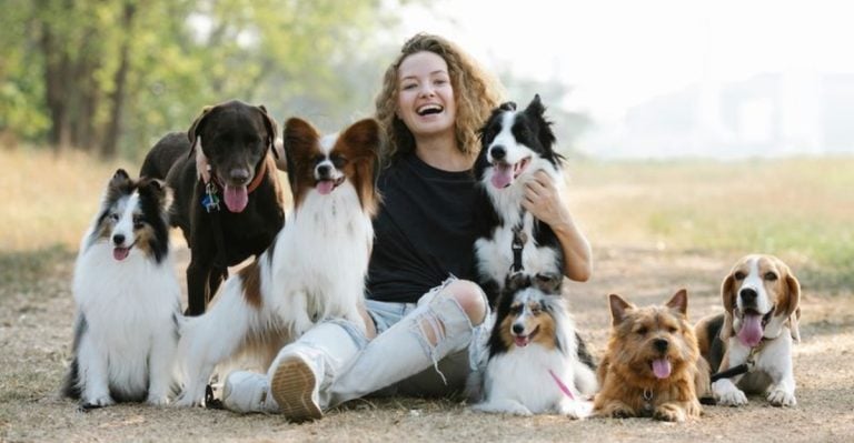 Adopting a Rescue Dog? These 15 Training Tips Are Game-Changers