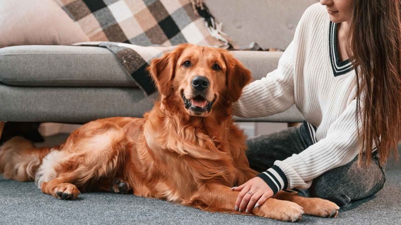 They Match Your Energy Levels