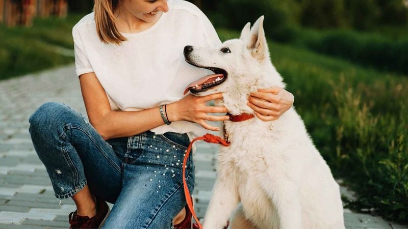 They Gaze Softly Into Your Eyes