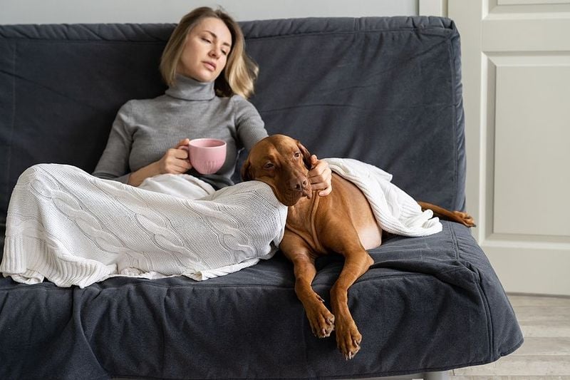 Emotional Scent Detectors