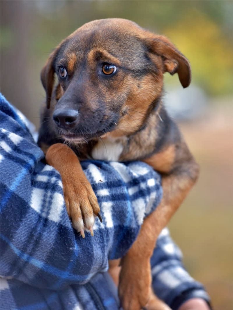 Sudden Fear of Familiar People or Places