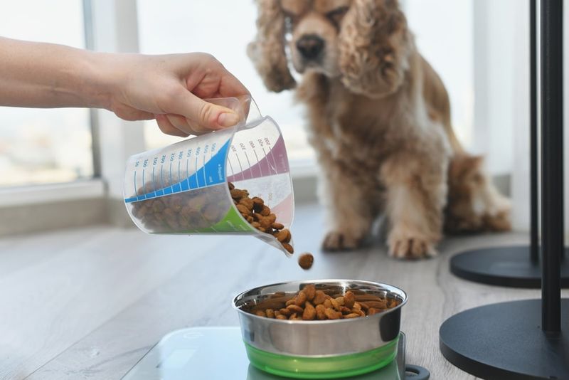 Measure Meals Carefully
