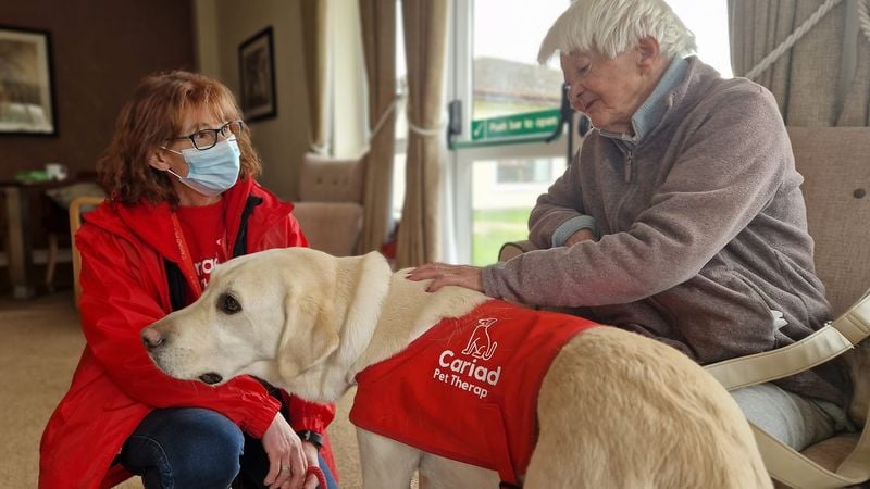 Silent Comfort Providers