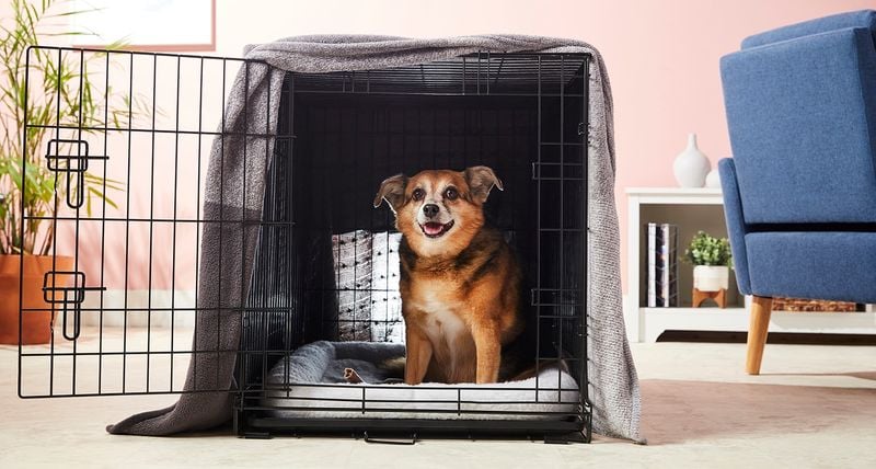 Create a safe, comforting space