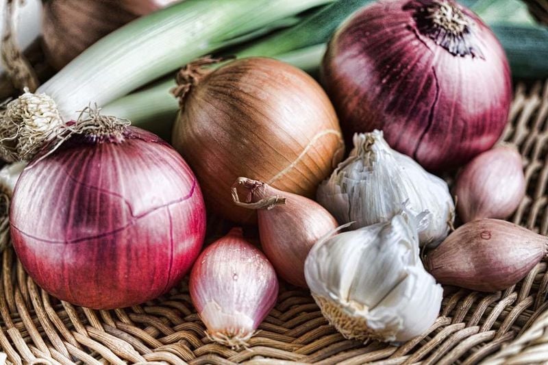 Onions and Garlic: Flavor for Us, Poison for Pups