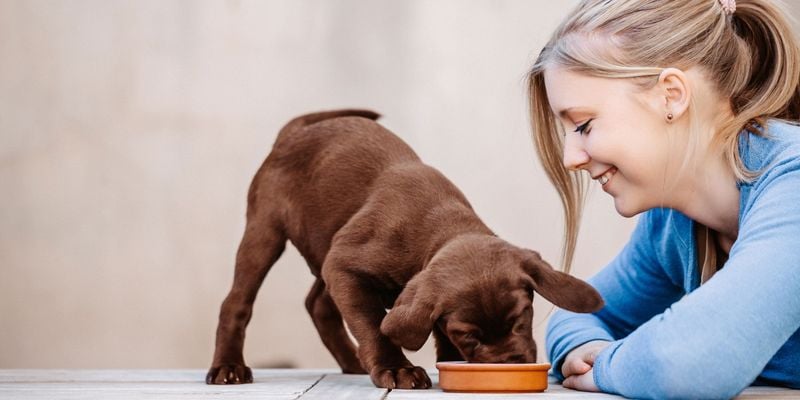 Create a Feeding and Potty Schedule