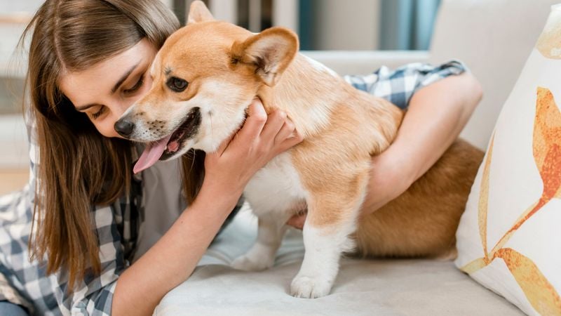 Gentle Introduction to Change