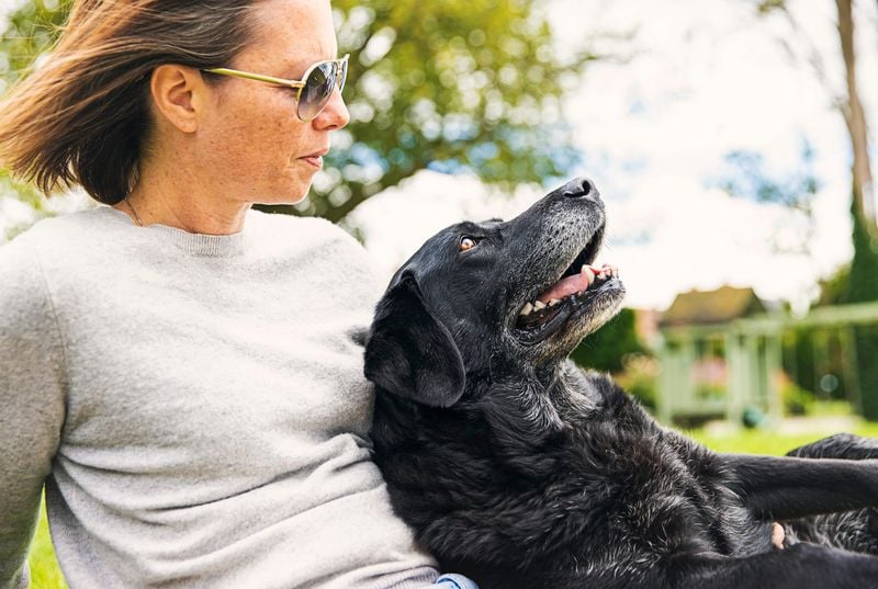 Body Pressure Reveals Hidden Anxiety