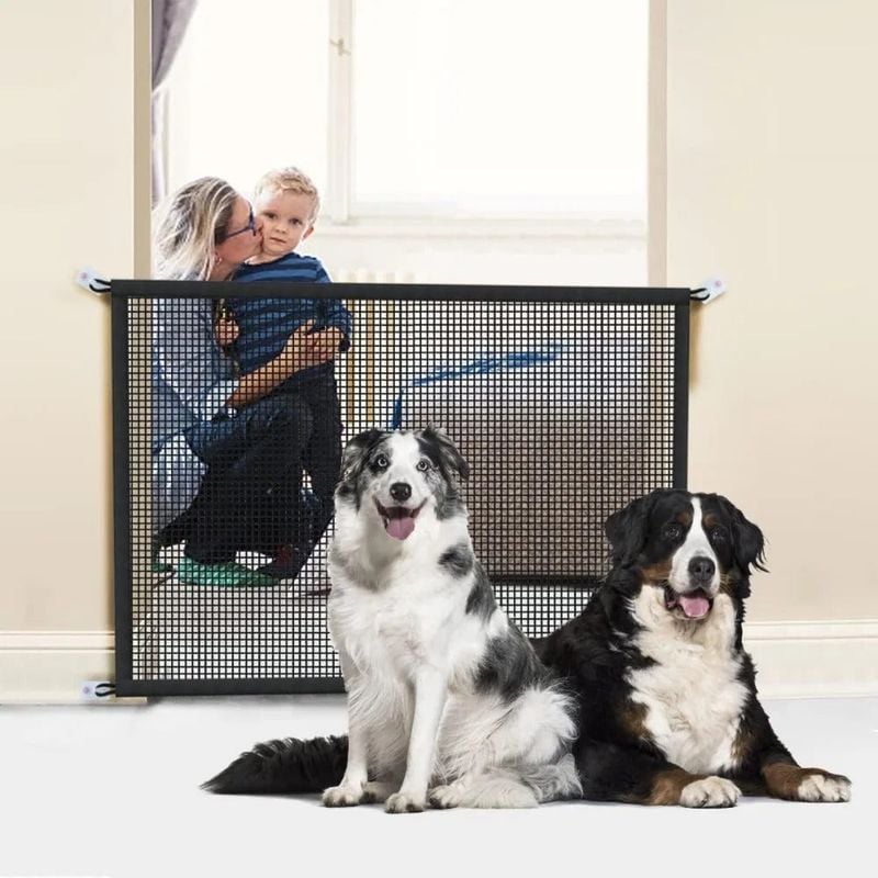 Set Up Indoor Free Zones Gradually