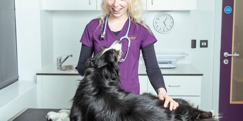 Visit the Vet First