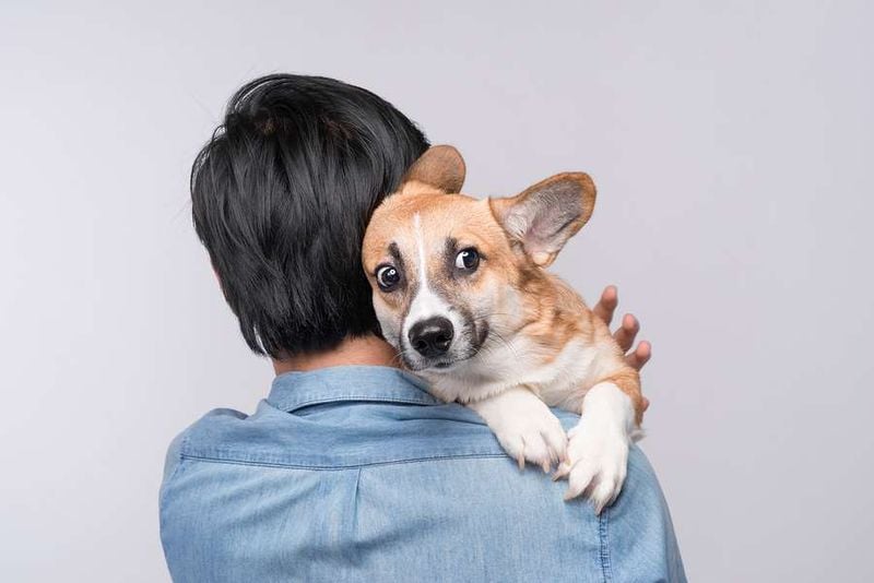 Exposure to Mild Stressors (Stress Inoculation)