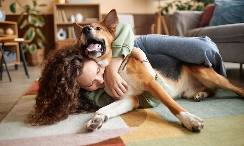 One Human Year = Seven Dog Years