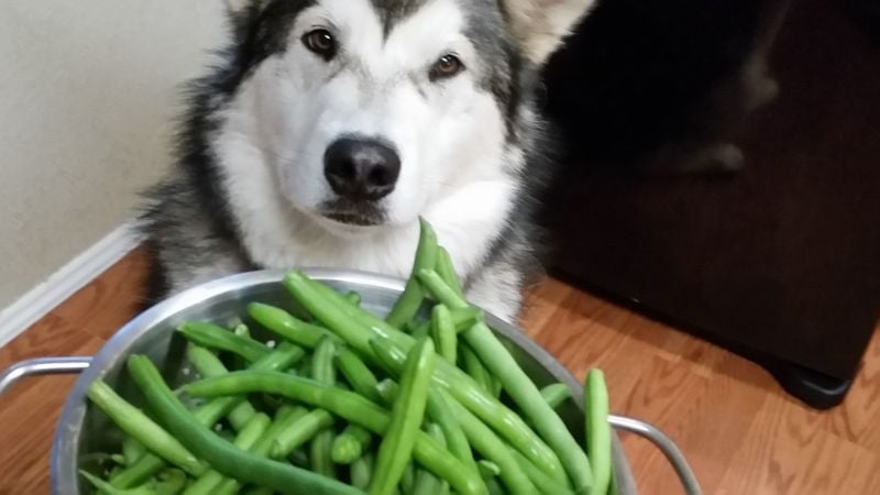 Green Beans (unsalted)