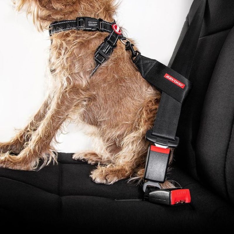 EZYDOG Dog Seat Belt Attachment