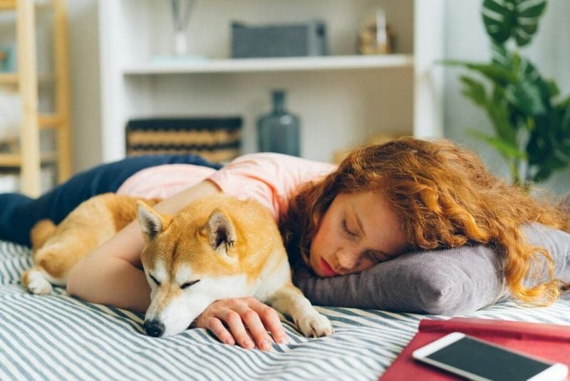 Emotional Comfort and Bonding