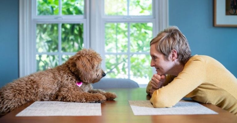 Ever Wonder What Your Dog Is Really Thinking? Here’s the Truth