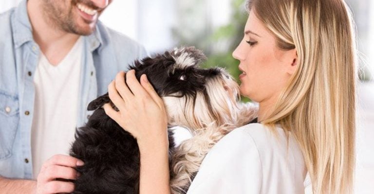 Every Dog Owner Has Lived Through These 15 Emotional Moments