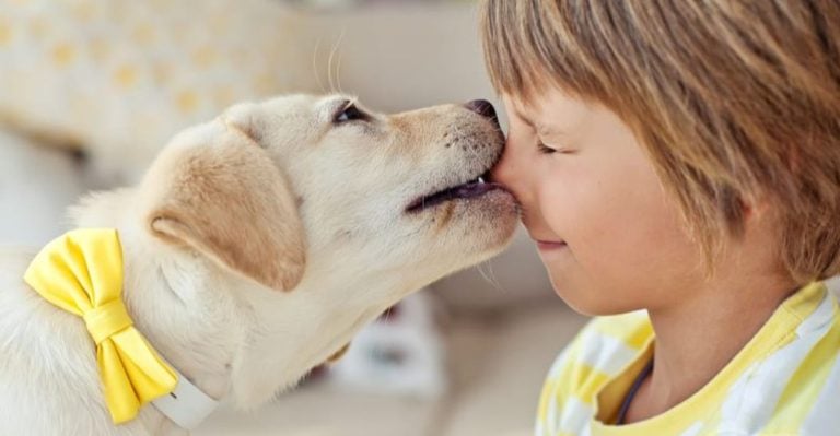Experts Say These 14 Dog Myths Are Flat-Out False
