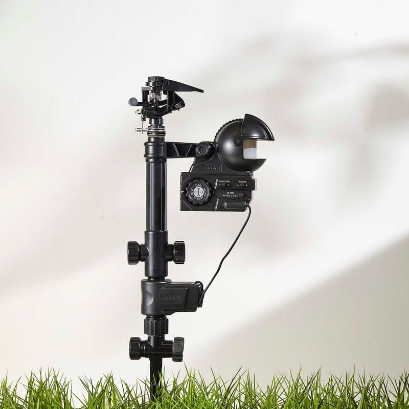 Use Motion-Activated Lights or Sprinklers