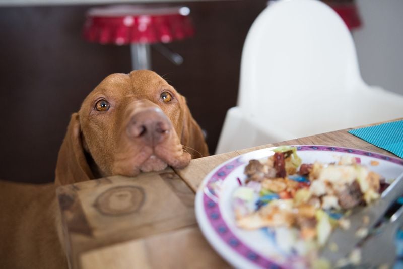 Cut Out the Table Scraps