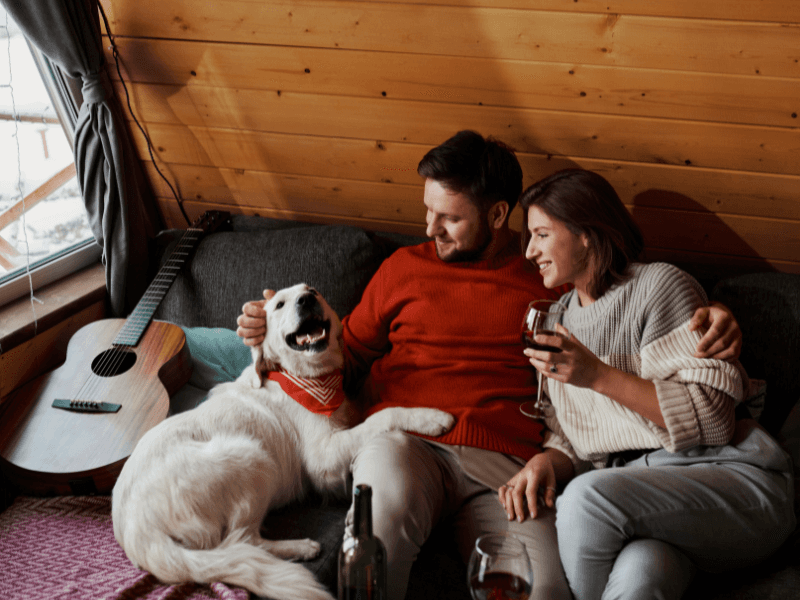 Emotional Steadiness Champions