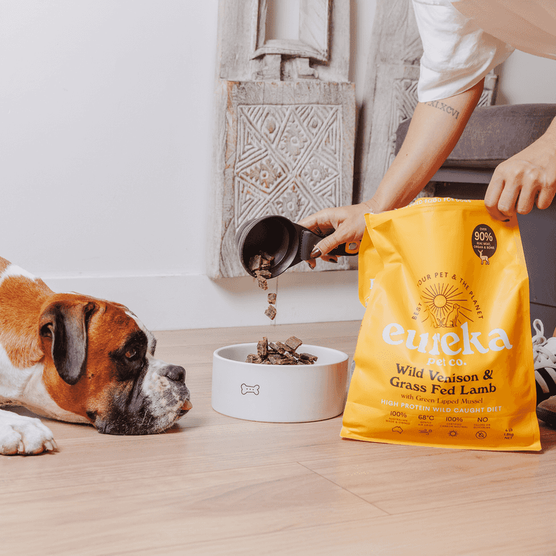 Portion Distortion Problems