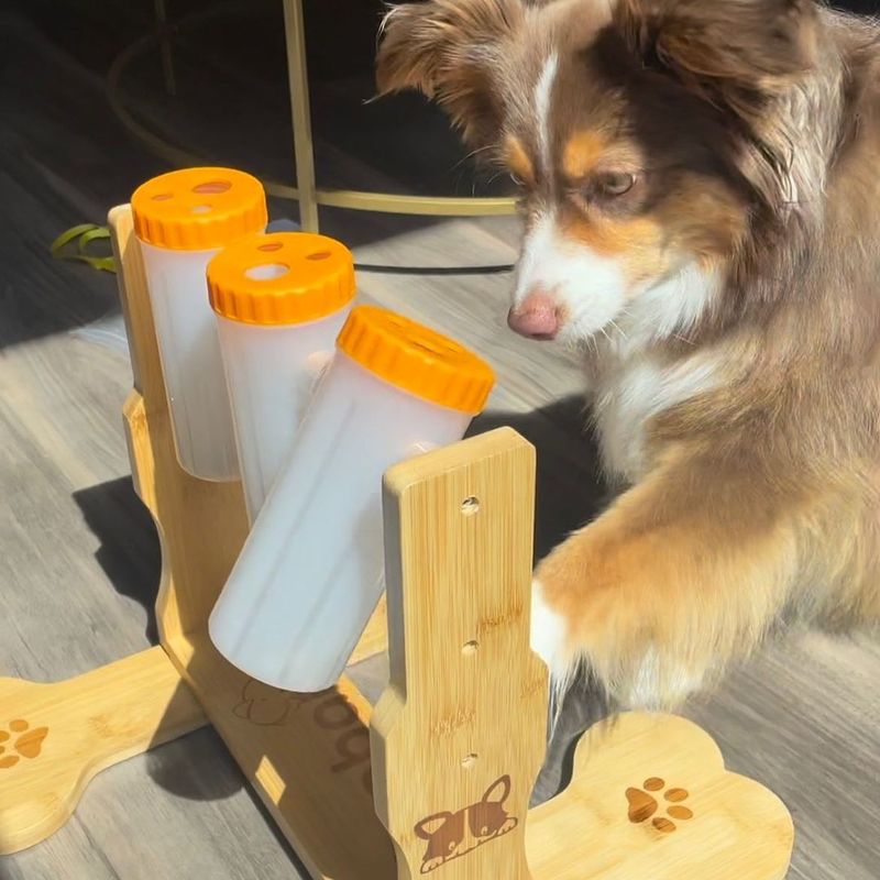 Leave Interactive Toys and Puzzles