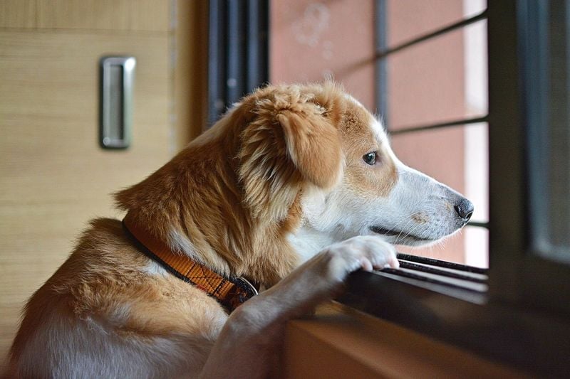 Leaving Without Saying Goodbye