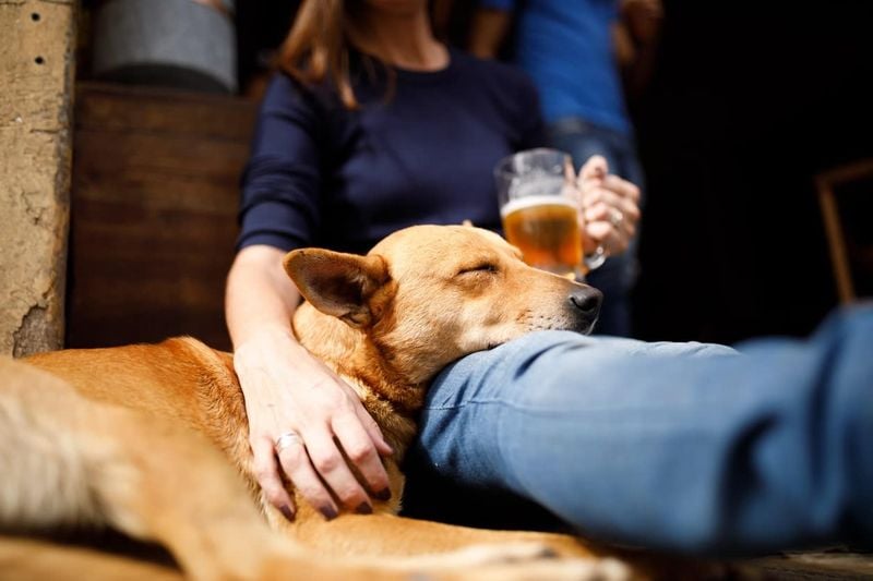 Alcohol: Even Small Amounts Can Be Fatal