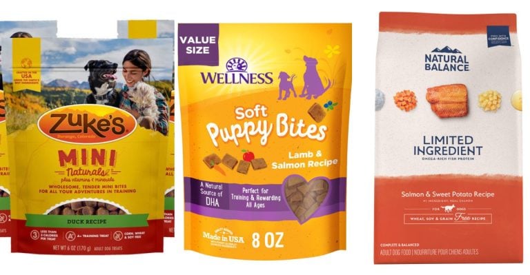 Healthy AND Delicious? These 11 Vet-Approved Dog Treats Are the Real Deal